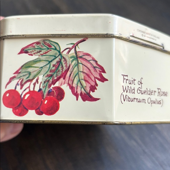 Vintage Richard Webb tin, octagon, cream w/ nature graphics, 5.5x 3.25” - Picture 4 of 11